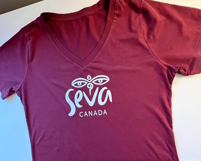 Ladies' V-Neck T-shirts